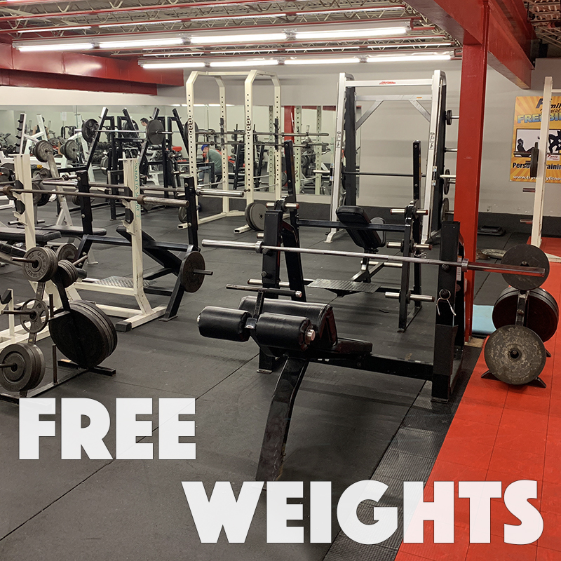 Free Weights & Functional Training